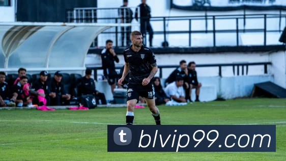 泊乐娱乐城官网平台生态图