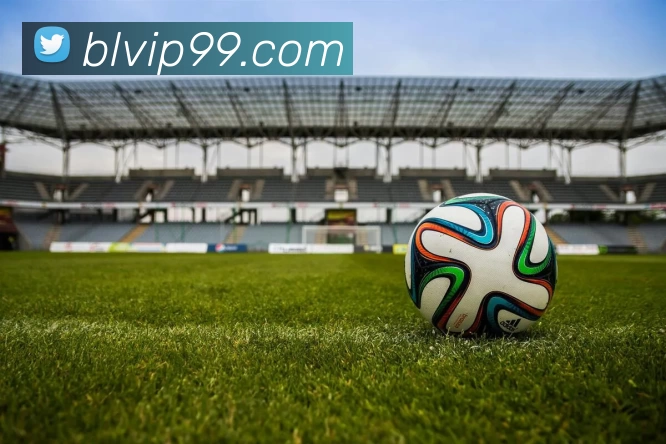 泊乐娱乐城官网全站App